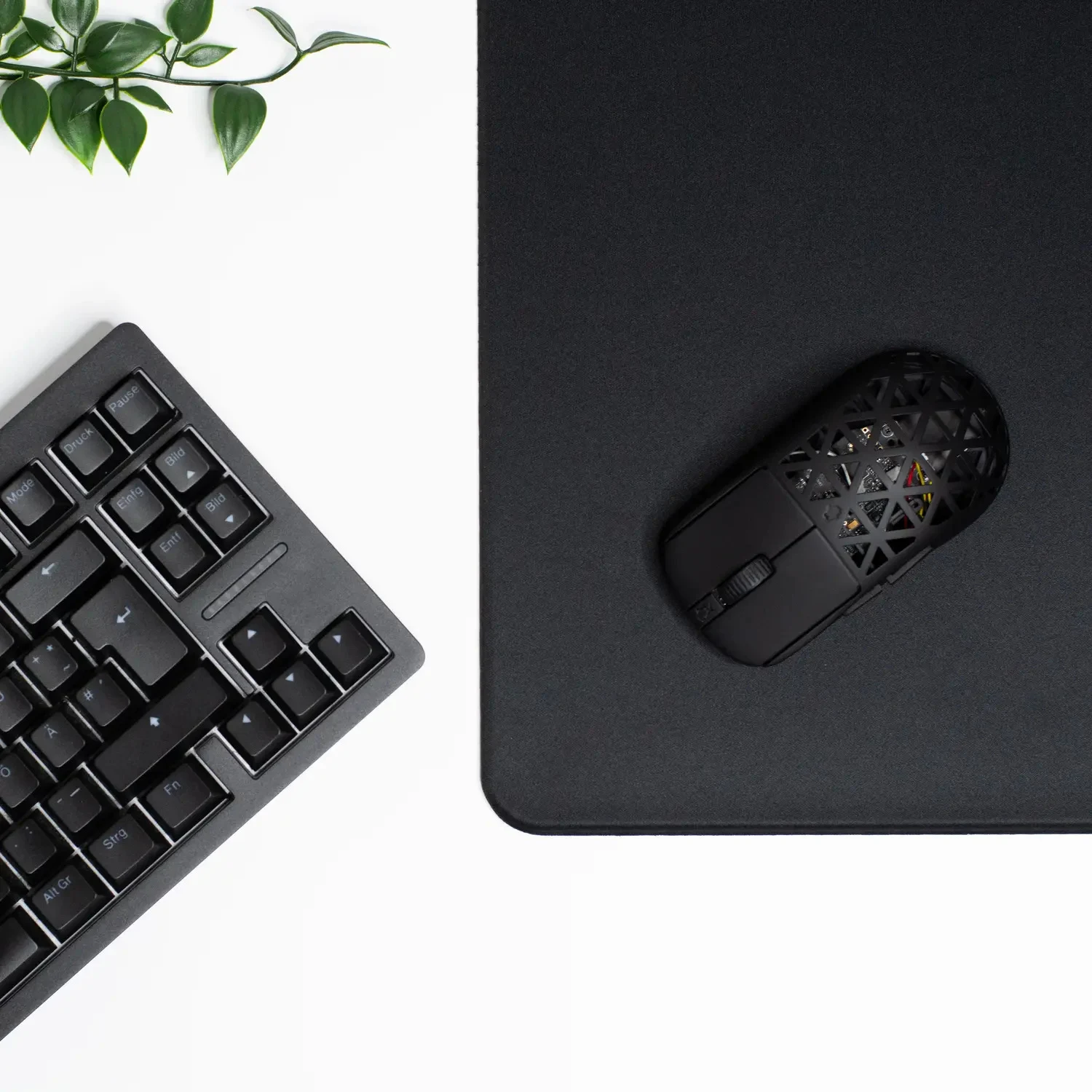 C2P QUANTUM EDITION C2P QUANTUM EDITION