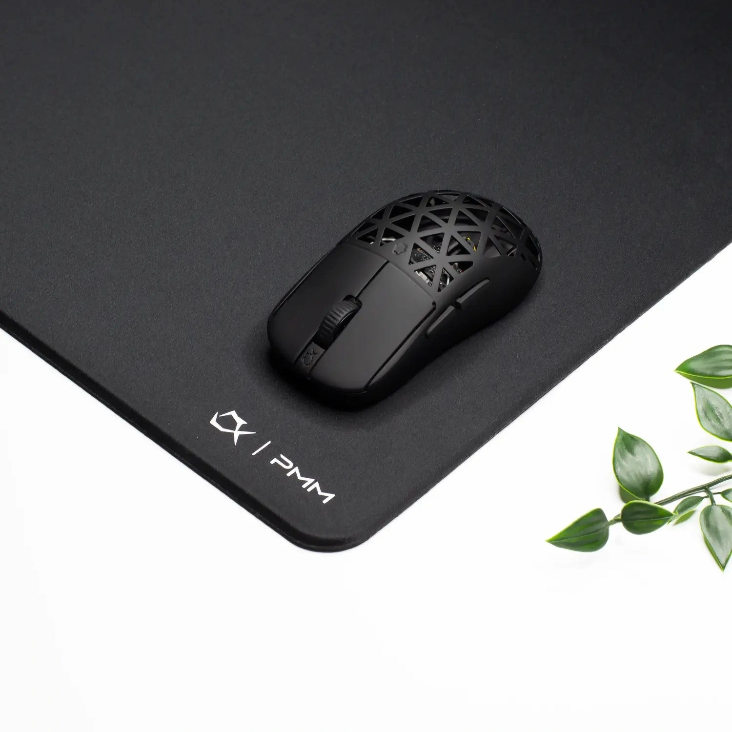 C2P QUANTUM EDITION C2P QUANTUM EDITION