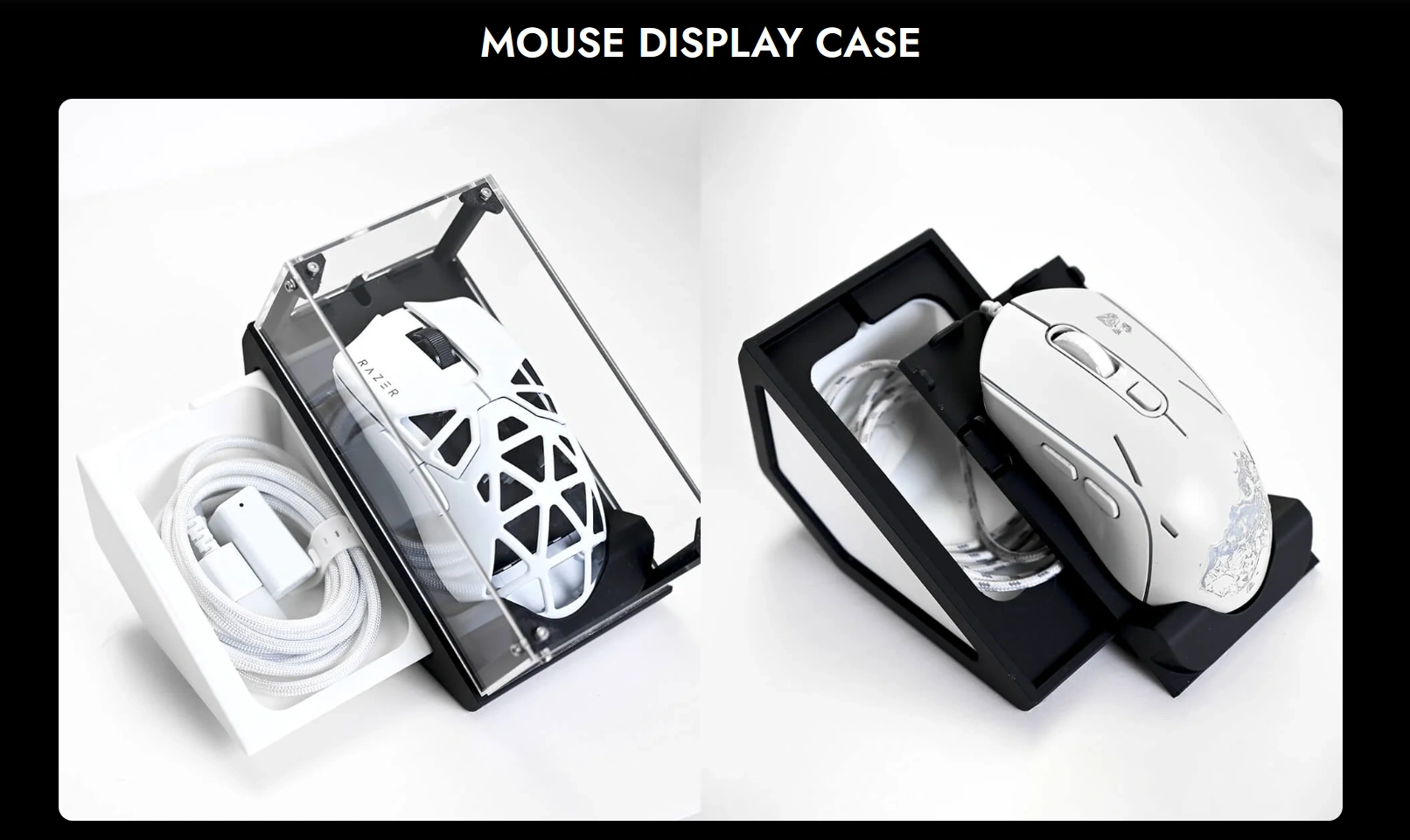 Arbiter Studio - Mouse Display Case